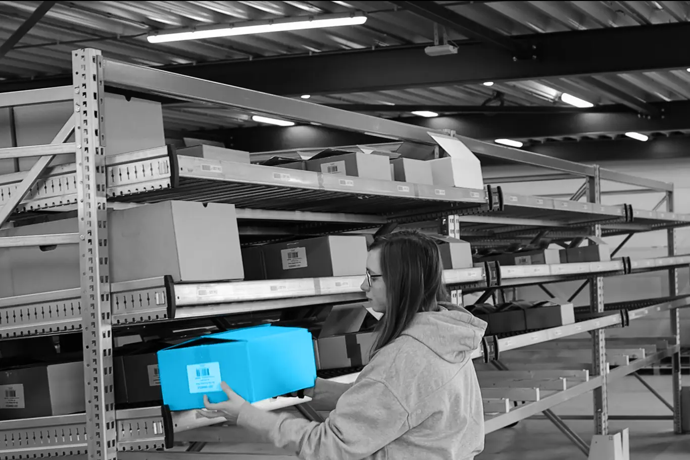 Understanding the e-check-to-light System in Warehouse and Supply Chain Management