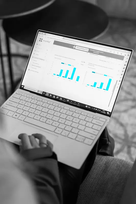MontaWMS B2B features: A comprehensive cloud-based solution