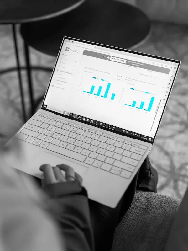 SAP Integration and MontaPortal Streamlining Data Tools
