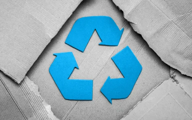 Grüner versenden, besser ankommen - Nachhaltige Verpackungen im E-Commerce