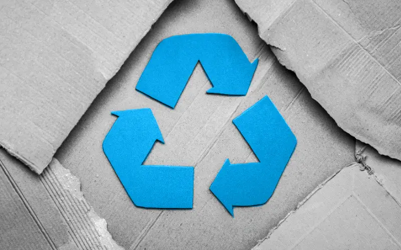 Grüner versenden, besser ankommen - Nachhaltige Verpackungen im E-Commerce