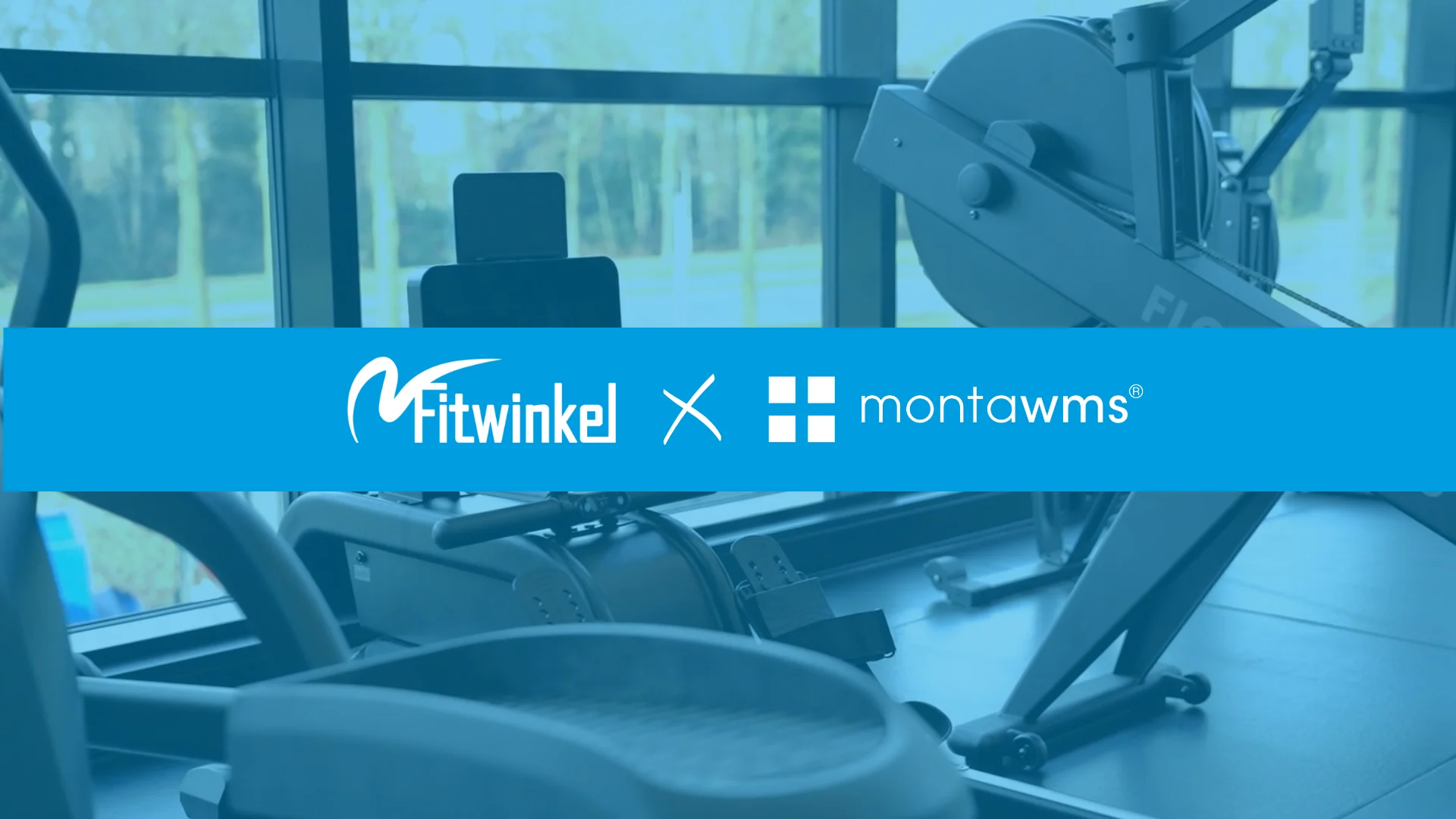 Fitwinkel X MontaWMS