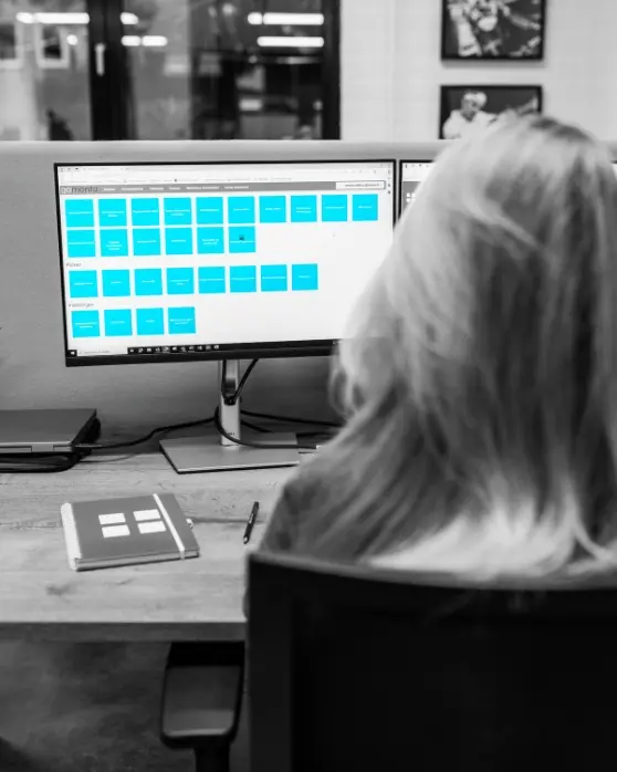Welke functies bevat de WMS software van MontaWMS?